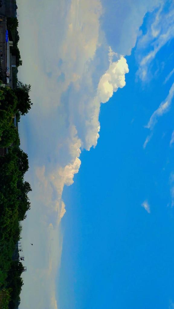 vedant_0's tweet photo. 💗 https://t.co/7GfQBaEszU
