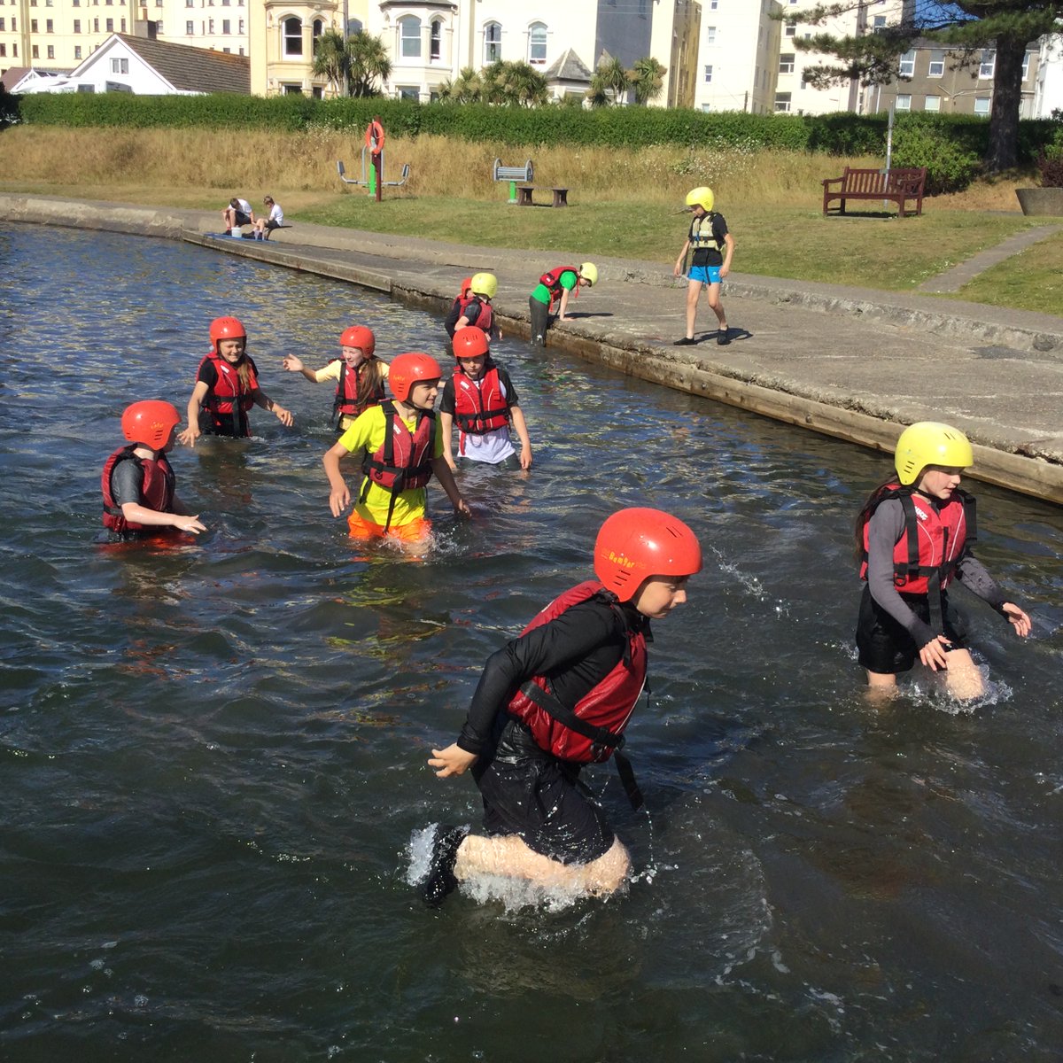 OLWPrimary tweet media