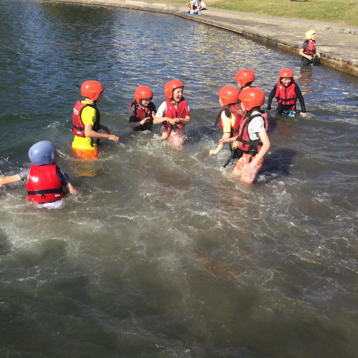 OLWPrimary tweet media