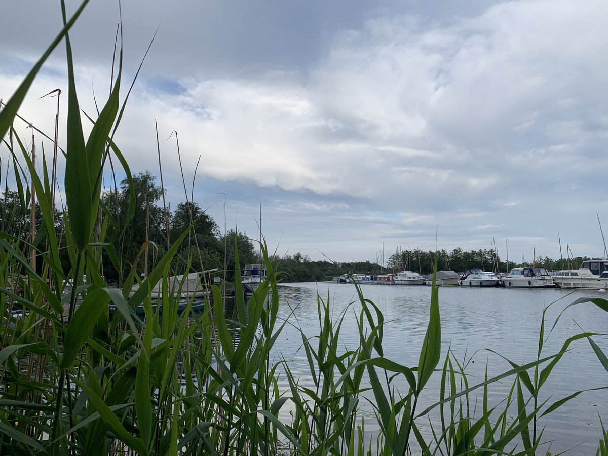 Green Space Dark Skies tweet media