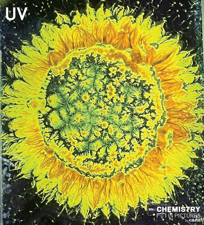cenmag's tweet photo. This impressionistic bloom was “a beautiful mistake,” according to Chia-Chien Kao. It appeared one day when Kao was recrystallizing a chromophore and accidentally let all the solvent evaporate. Read more about this #CENChemPics: 📸 https://t.co/jtTyAAXJ7Z https://t.co/Ag4RAVnJRe