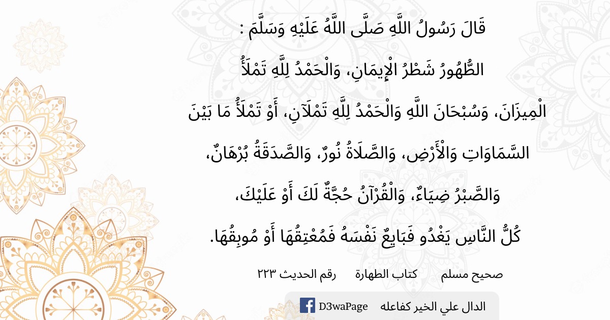 IslamAhmadany's tweet photo. #يوم_الاربعاء https://t.co/juJi9rVlzR