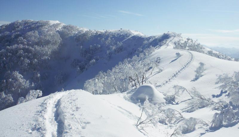 #雪山 #tourism #watching snow Suddenly I really want to see snow, haha, what happened to me? I go to the refrigerator to see? ?