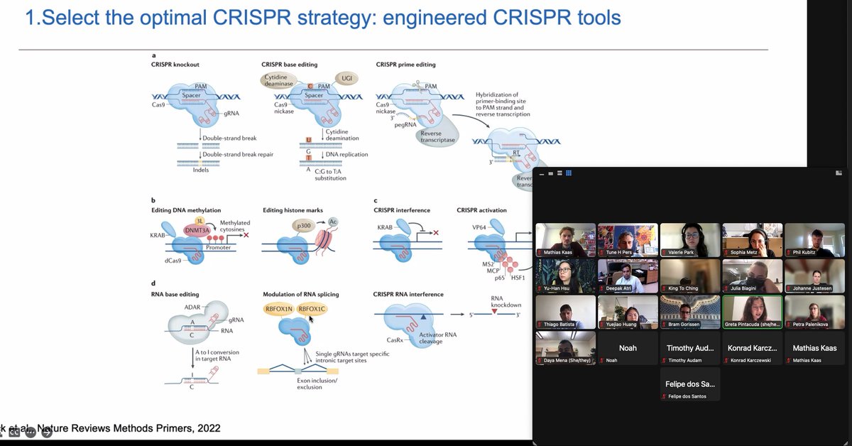 Tune H. Pers (@tunepers) on Twitter photo Kicking off the CRISPR Workstream at the <a href="/novonordiskfond/">Novo Nordisk Foundation</a> Center for Genomic Mechanisms of Disease <a href="/broadinstitute/">Broad Institute</a>.
Videos on, plenty of interactions, mostly junior scientists and a great presentation by @gretapinta from <a href="/kasper_lage/">Kasper Lage</a> lab. Kicking off the CRISPR Workstream at the <a href="/novonordiskfond/">Novo Nordisk Foundation</a> Center for Genomic Mechanisms of Disease <a href="/broadinstitute/">Broad Institute</a>.
Videos on, plenty of interactions, mostly junior scientists and a great presentation by @gretapinta from <a href="/kasper_lage/">Kasper Lage</a> lab.