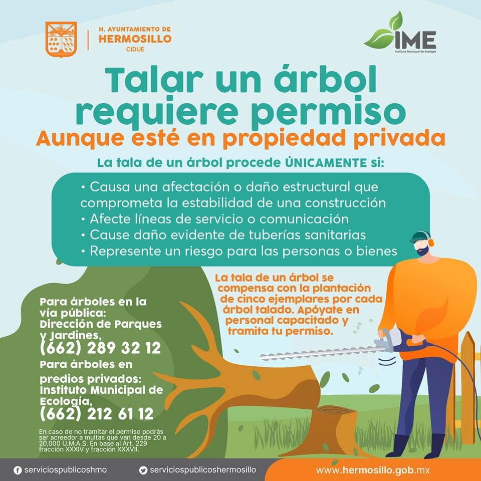 🌱Los árboles producen oxígeno,purifican el aire,forman suelos fértiles,evitan erosión, mantienen ríos limpios,sirven como refugios para la fauna, reducen la temperatura del suelo, regeneran los nutrientes del suelo entre muchas cosas más 🌳🌱Inst.Mpal de Ecología.<a href="/HermosilloGob/">Gobierno de Hermosillo</a>