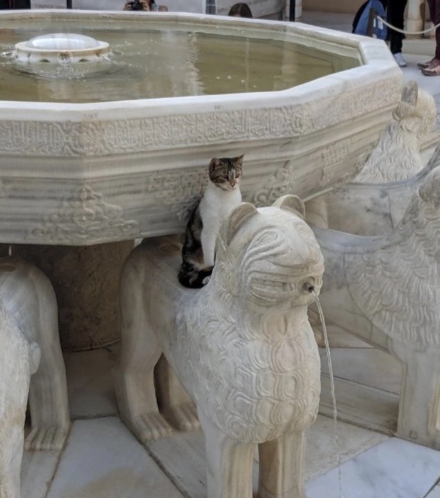 Всадник апокалипсиса