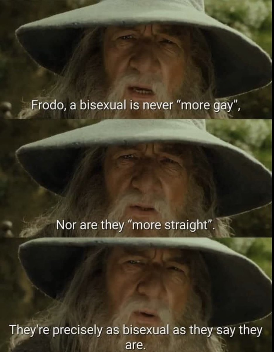 StillBisexual tweet picture
