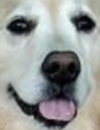 Emma Skinner🏳️‍🌈🏳️‍⚧️🇺🇦 tweet media