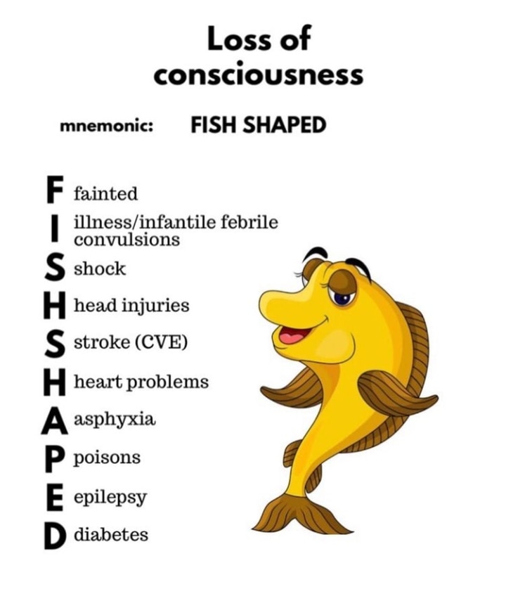 zeshanrafaqat's tweet photo. Loss of Consciousness
#medicaltalkss #lossofconsciousness #emergencias #emergencyservices #emergencymanagement #diffrentialdiagnosis #differential #drzeeshanrafaqat https://t.co/CZluWtjv8m