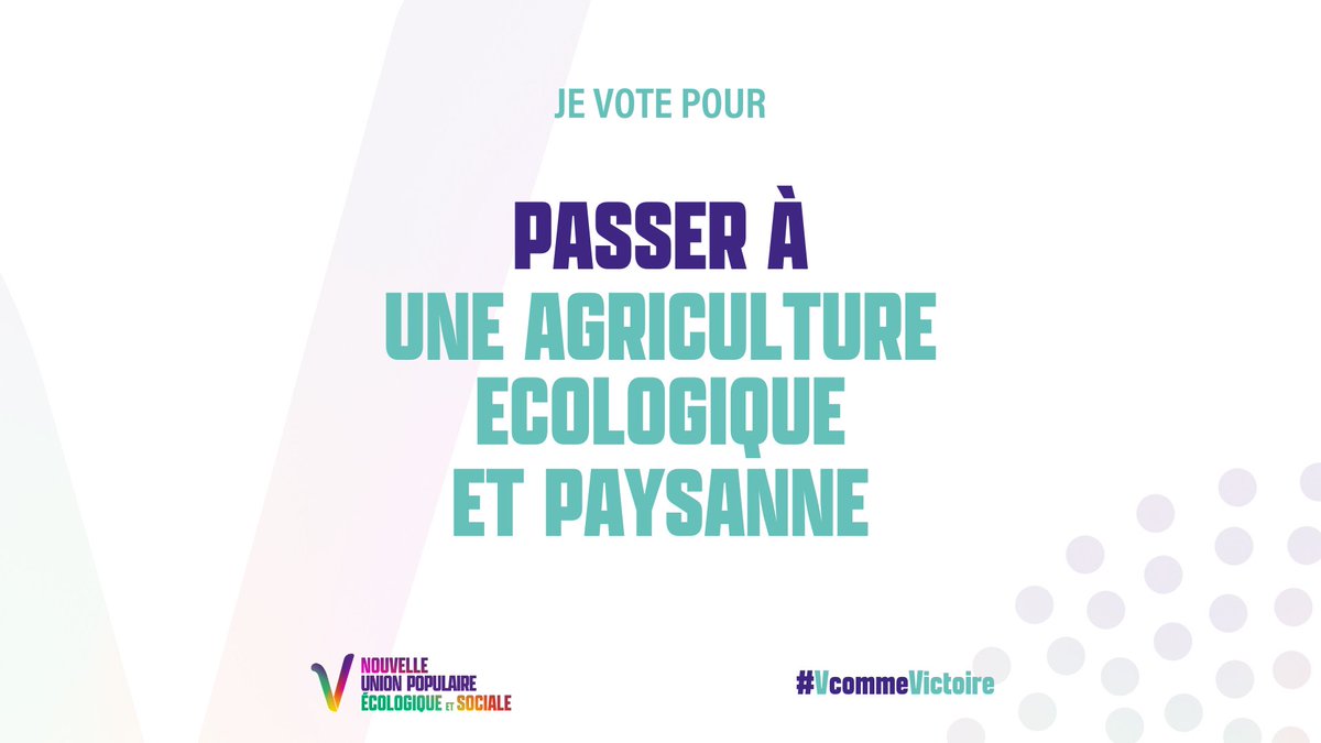 NUPES - 1ère circo de Haute-Garonne tweet media