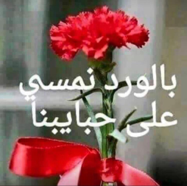 من يقول الزين ما يكمل حلاه
كل شيٍ في حبيبي إكتمل
الله اللي كمله و الله عطاه
ما بقى للزين في خلّي محل
العيون أحلى من عيون المهاه
شافها قلبي و صفّق و احتفل
نظرته من فتنته شعلة حياه
و الجفون من الحيا فيها كسل
🌹❤️🌹