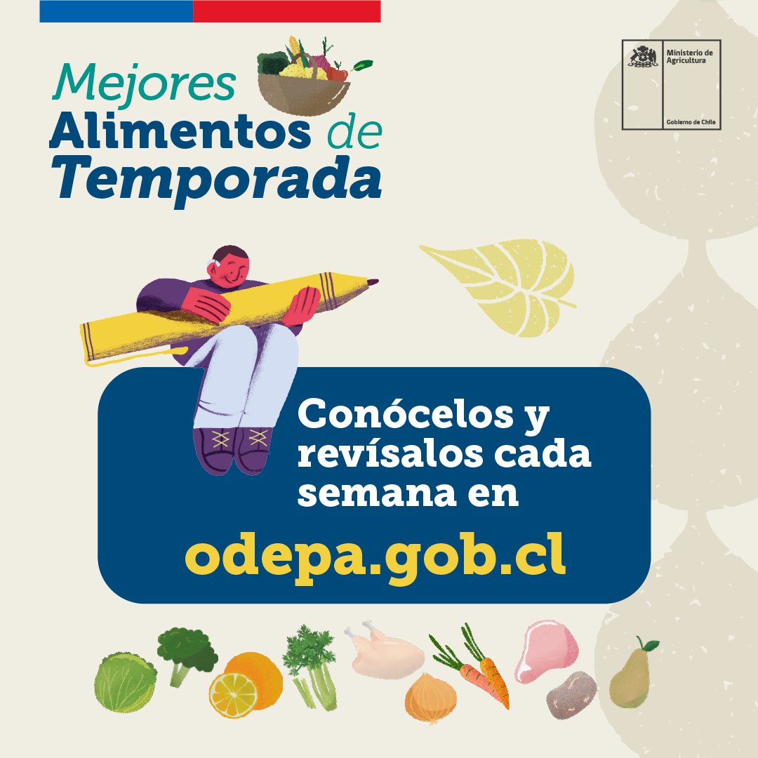 MinagriCL's tweet photo. ¿Conoces el MAT? 🧺🥬🍋

El indicador #MejoresAlimentosdeTemporada de @MinagriCL y @ODEPA muestra los alimentos que más bajan de precio cada semana📉, para que las familias de 🇨🇱 puedan revisar las opciones más convenientes ✅

Revísalos todos los viernes 🔍