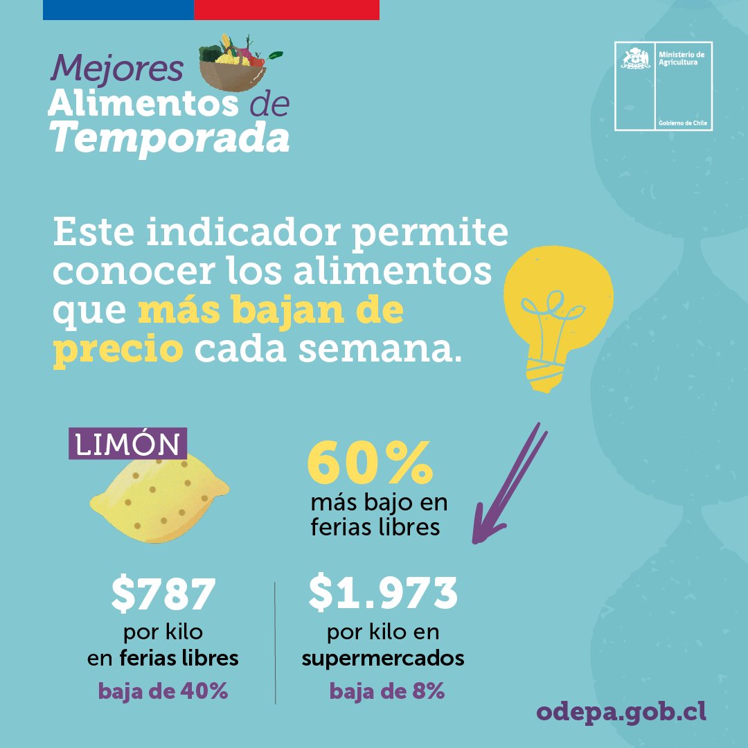 MinagriCL's tweet photo. ¿Conoces el MAT? 🧺🥬🍋

El indicador #MejoresAlimentosdeTemporada de @MinagriCL y @ODEPA muestra los alimentos que más bajan de precio cada semana📉, para que las familias de 🇨🇱 puedan revisar las opciones más convenientes ✅

Revísalos todos los viernes 🔍