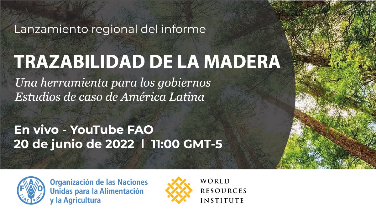 Forest Governance and Policy tweet media