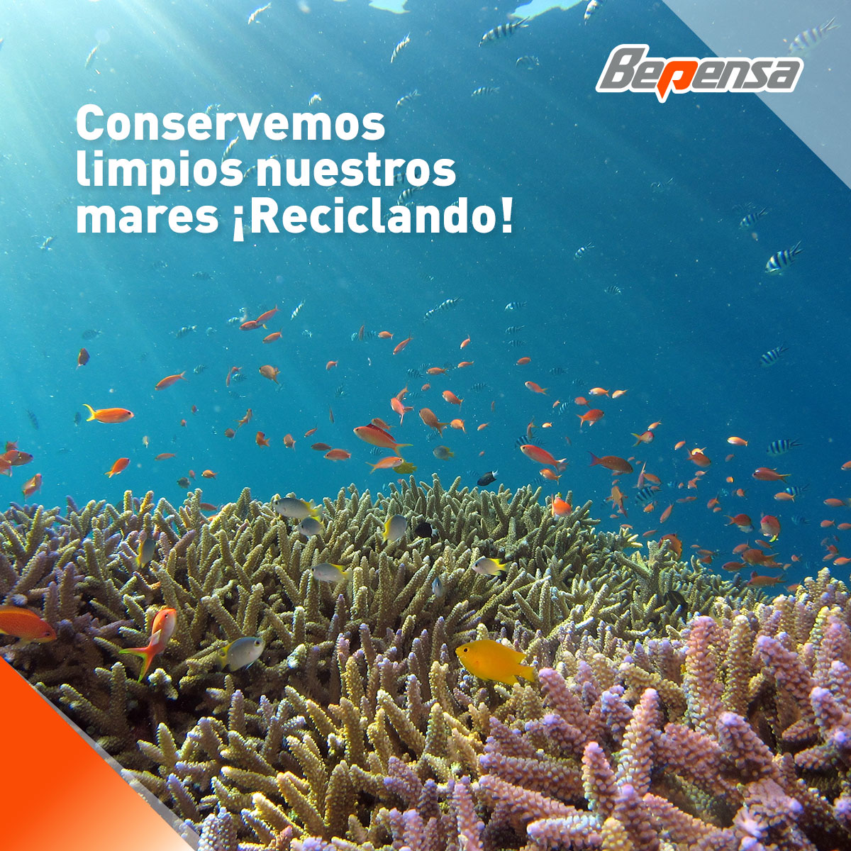 BepensaCorp's tweet photo. Esta temporada vacacional te invitamos a disponer tus residuos correctamente, así no llegarán al océano y miles de especies serán salvadas.
📍Encuentra tu punto #ReQPET más cercano https://t.co/FEWOyhhJGS
#UnMundoSinResiduos #ElAmorMultiplica https://t.co/X4W7OCWI3q