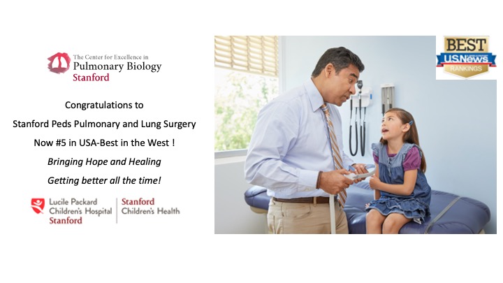 David Cornfield (@cornfield_david) on Twitter photo Congratulations to Peds Pulmonary at #Stanford #5 in #USNWR <a href="/StanfordPeds/">Stanford Pediatrics</a> @tcfepulmbio Bringing #hope #healing and #discovery Congratulations to Peds Pulmonary at #Stanford #5 in #USNWR <a href="/StanfordPeds/">Stanford Pediatrics</a> @tcfepulmbio Bringing #hope #healing and #discovery