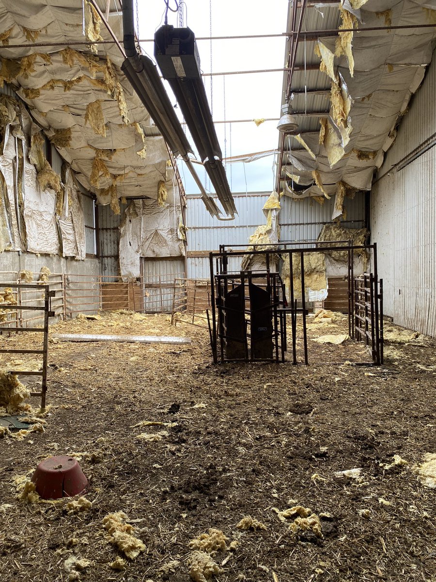 Chandler Farnsworth tweet media