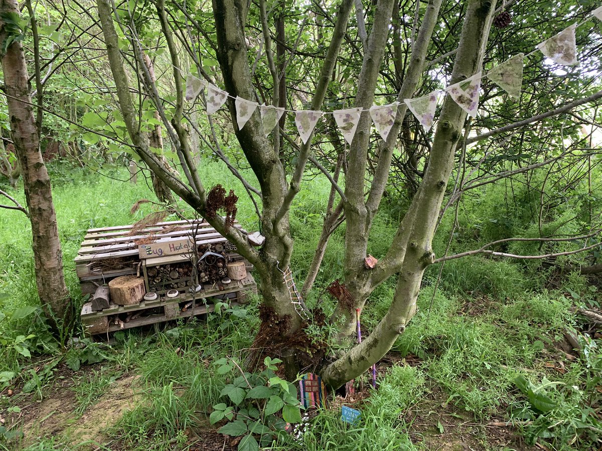 LeafyTrailsFS's tweet photo. Hapazome nature bunting @Bracoden15 #leafbashing #colourful #outdoorlearning #mallets #nature @30DaysWild #30DaysWild #wildflowers https://t.co/CjfvOME3mT