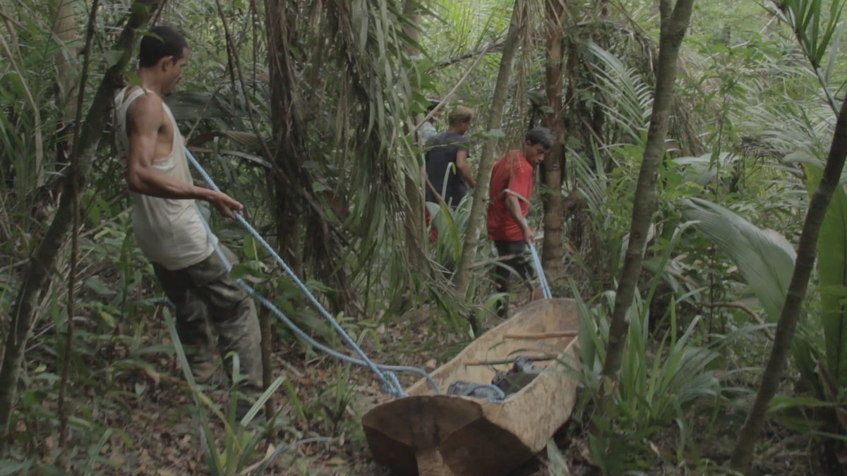 These incredible films will be available for two weeks for free on the Climate Crisis + Media Arts Eventive page starting this evening. Stay tuned for future SHORELINES programs in the months to come (and don't hesitate to share recommendations!). watch.eventive.org/ccma/play/627e…