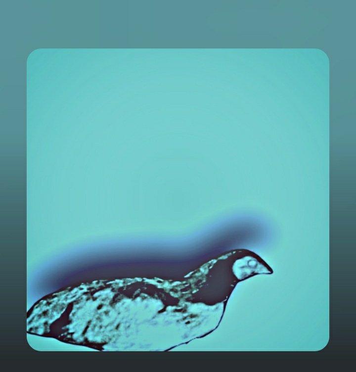 AnimalsARTz's tweet image. My new Animals Collection ( CHICKEN )
opensea.io/AnimalsCollect…
#nftproject #nftdrop #nftsale #nftsales #nftcommunity #nftcollection #nftnews #nftartists #nftcollector
