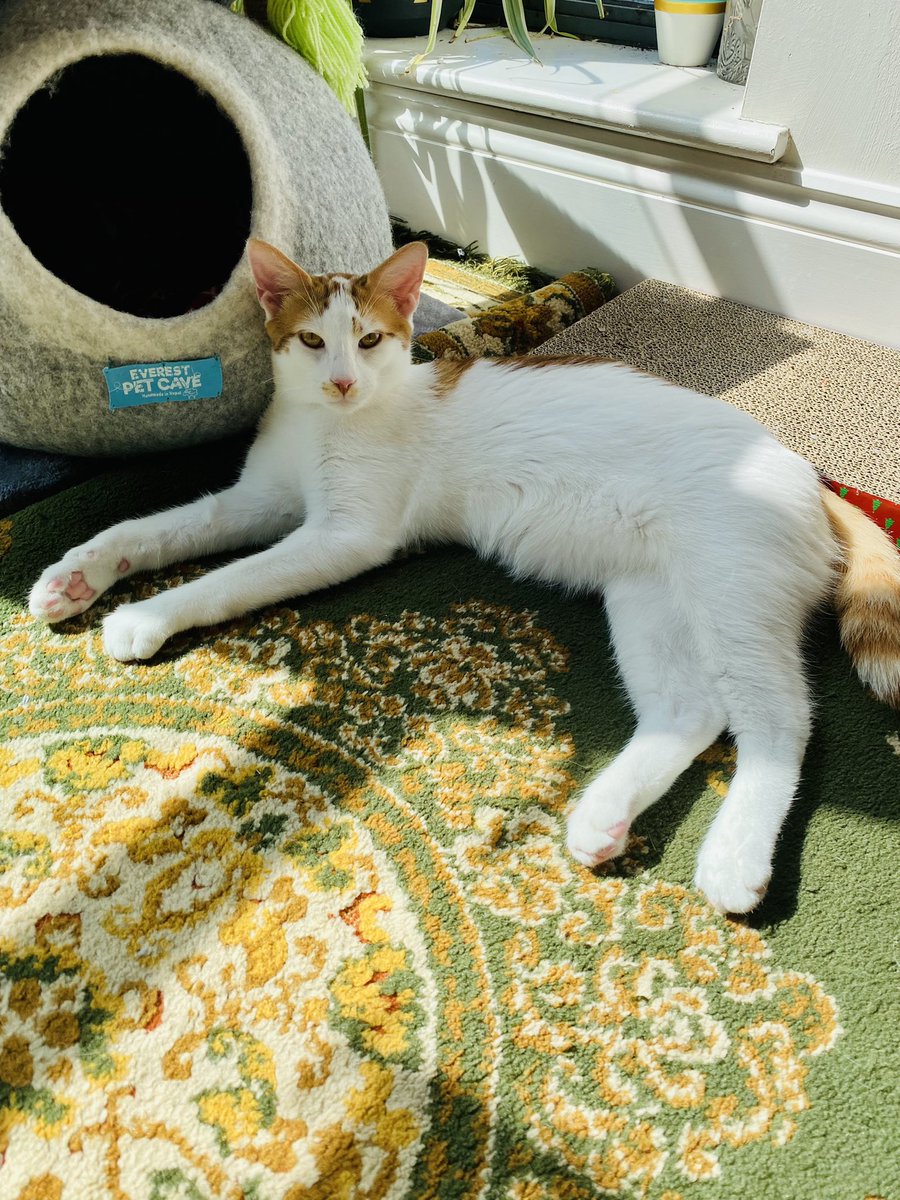 Out of office on, planning to be as relaxed as this guy ✈️🇫🇷🥂