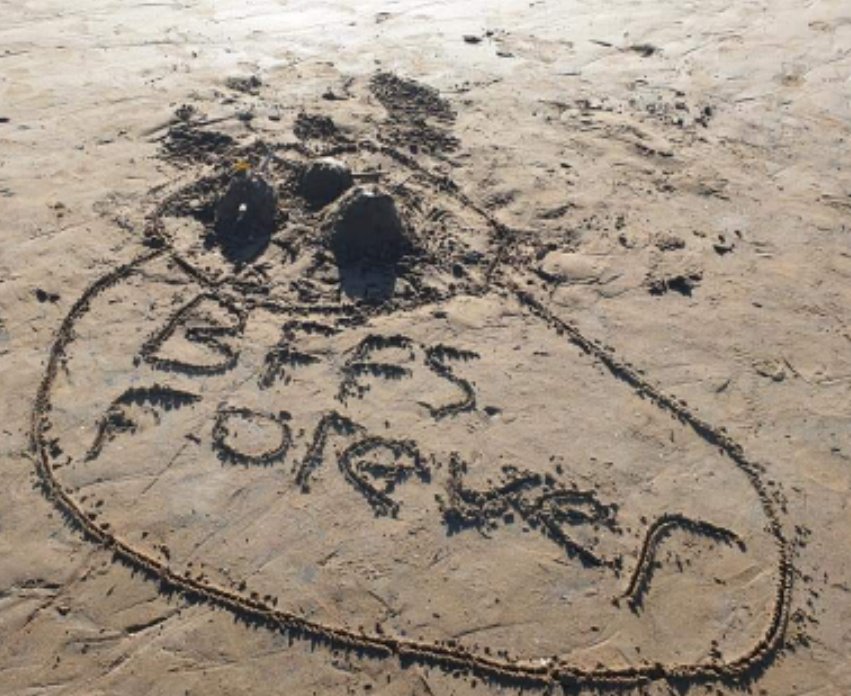 CumbriaNorth's tweet photo. Aspatria, Silloth and Torpenhow groups have been on the beach making sand sculptures!

 #bffsforever #BeachGirls #beachfun #sandsculpture #beach #Girlguiding #Aspatria #Silloth #Aspatria #Cumbria https://t.co/OoczCy98wa