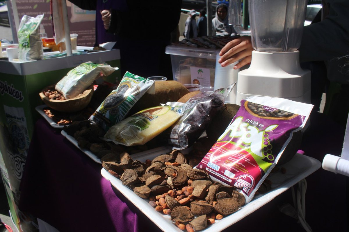 HelvetasBolivia's tweet photo. El #MDRyT promueve la revalorización de los #frutosamazónicos, cuyo alto valor nutritivo aporta en la seguridad alimentaria. La "Feria Nacional de Cacao y Frutos Amazónicos" desarrollada en la plaza San Francisco. #Helvetas #PASOS #IPDSA Ph.MDRyT https://t.co/wM85mSGXfX