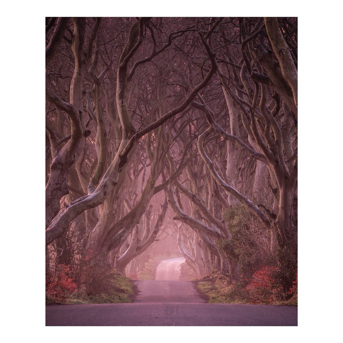 Paul Killeen Photography tweet media