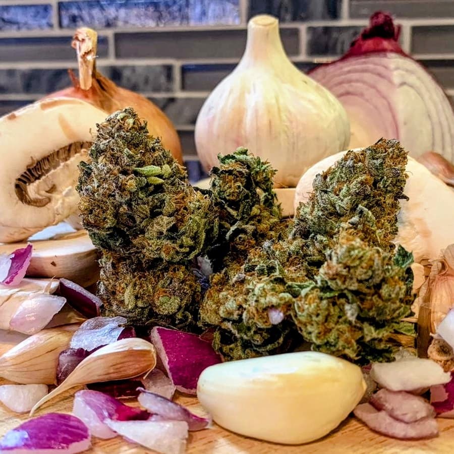 M1chael Ang3lo tweet media