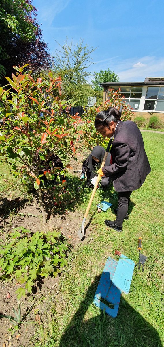 ncc_chaplain's tweet photo. "June brings tulips, lilies, roses,
Fills the children’s hand with posies. Hot July brings cooling showers, Apricots and gillyflowers."  #SaraColeridge. The summer sun brings dry spell and weeds. 6th Formers #enrichment gardening @NCCBrent Getting down to ground level. https://t.co/XupJaHdox1