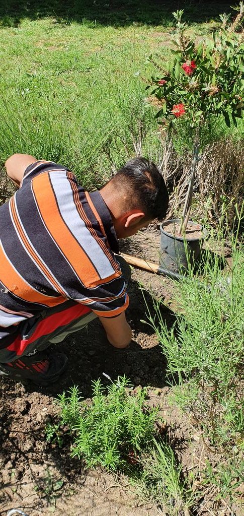 ncc_chaplain's tweet photo. "June brings tulips, lilies, roses,
Fills the children’s hand with posies. Hot July brings cooling showers, Apricots and gillyflowers."  #SaraColeridge. The summer sun brings dry spell and weeds. 6th Formers #enrichment gardening @NCCBrent Getting down to ground level. https://t.co/XupJaHdox1