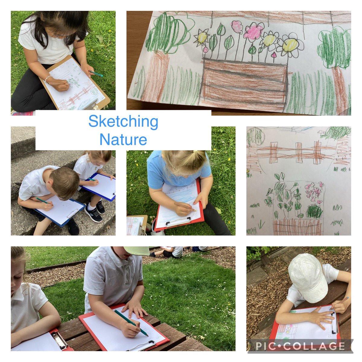 StJoseRC1's tweet photo. Sketching nature, Year 1 and 2 enjoyed quiet time drawing what they could see in the school garden. Some amazing artists too! @EAS_EarlyYears @BishopHedleyRC @BlaenauGwentCBC @tredegarwales #creativeenterprising https://t.co/XqjpWsLMS2
