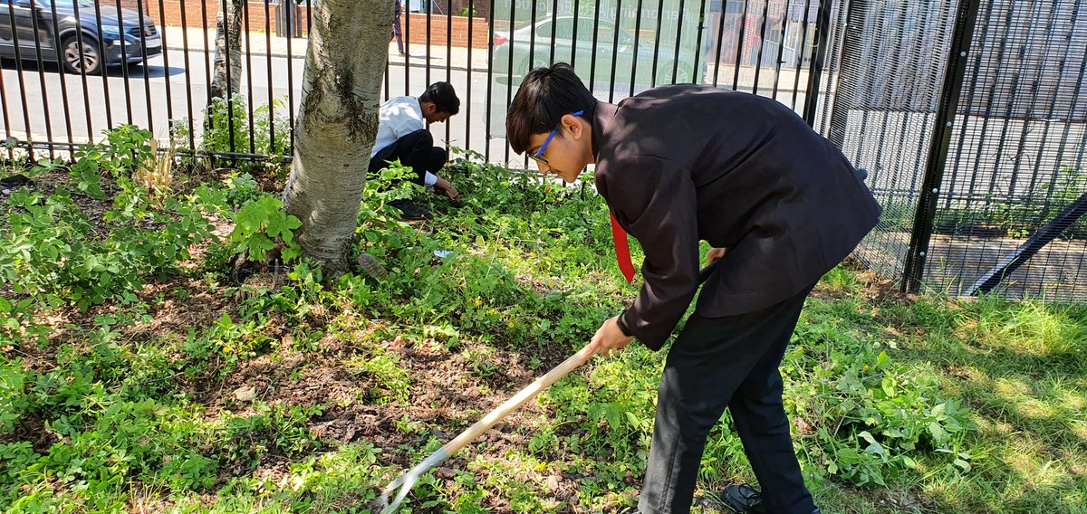 ncc_chaplain's tweet photo. "June brings tulips, lilies, roses,
Fills the children’s hand with posies. Hot July brings cooling showers, Apricots and gillyflowers."  #SaraColeridge. The summer sun brings dry spell and weeds. 6th Formers #enrichment gardening @NCCBrent Getting down to ground level. https://t.co/XupJaHdox1