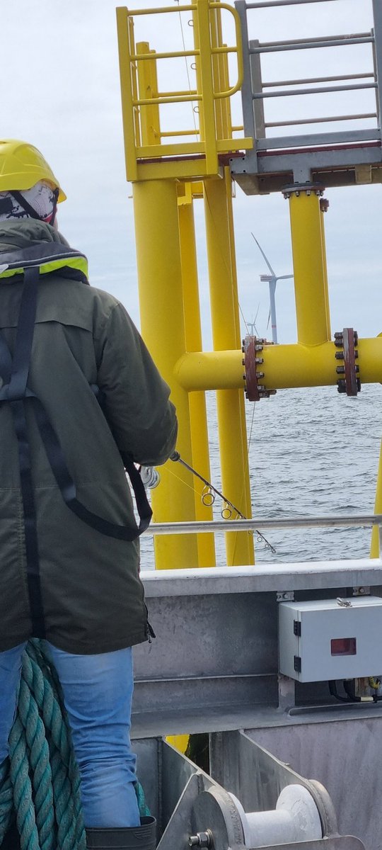 Vanessa Stelzenmüller (@vanessastelzen1) on Twitter photo Does the aggregation of #fish vary across foundation types for #offshorewind? Thanks to #RWE we are able to collect urgently needed data. <a href="/Thuenen_aktuell/">Thünen-Institut</a> @WernerKarlM @HaslobHolger <a href="/OffshoreScience/">Responsible Offshore Science Alliance</a> Does the aggregation of #fish vary across foundation types for #offshorewind? Thanks to #RWE we are able to collect urgently needed data. <a href="/Thuenen_aktuell/">Thünen-Institut</a> @WernerKarlM @HaslobHolger <a href="/OffshoreScience/">Responsible Offshore Science Alliance</a>