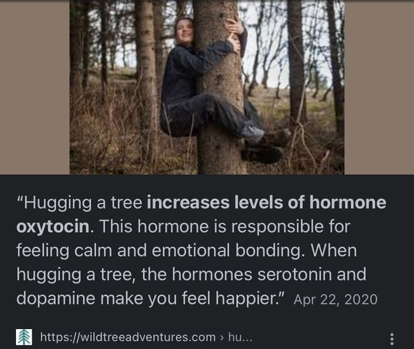yeah…we hug trees 🌳