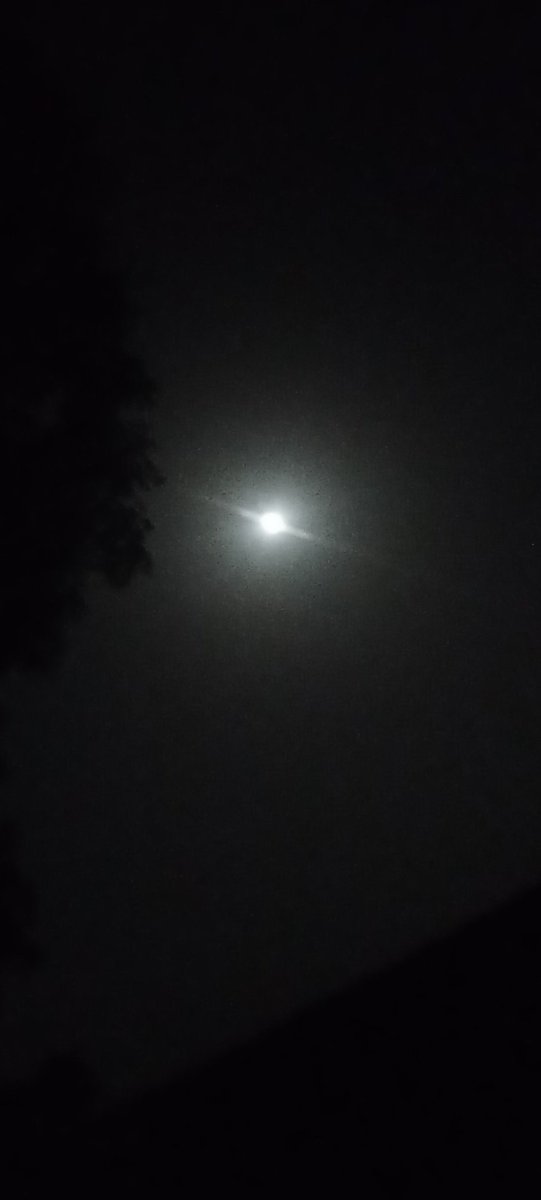 Hopee0260's tweet photo. #psssd To The Moon baby🚀🚀🚀🚀🚀🚀🚀🚀🚀🚀🚀🚀🚀🚀🚀🚀🚀🚀🚀🚀🚀
#psssdlife
#pssssdtestsubject
@ThePossessedNFT
@luuminize
@_thel0stb0y_
@ggDaydreams
@zippy_nft https://t.co/khsAsA14Jn
