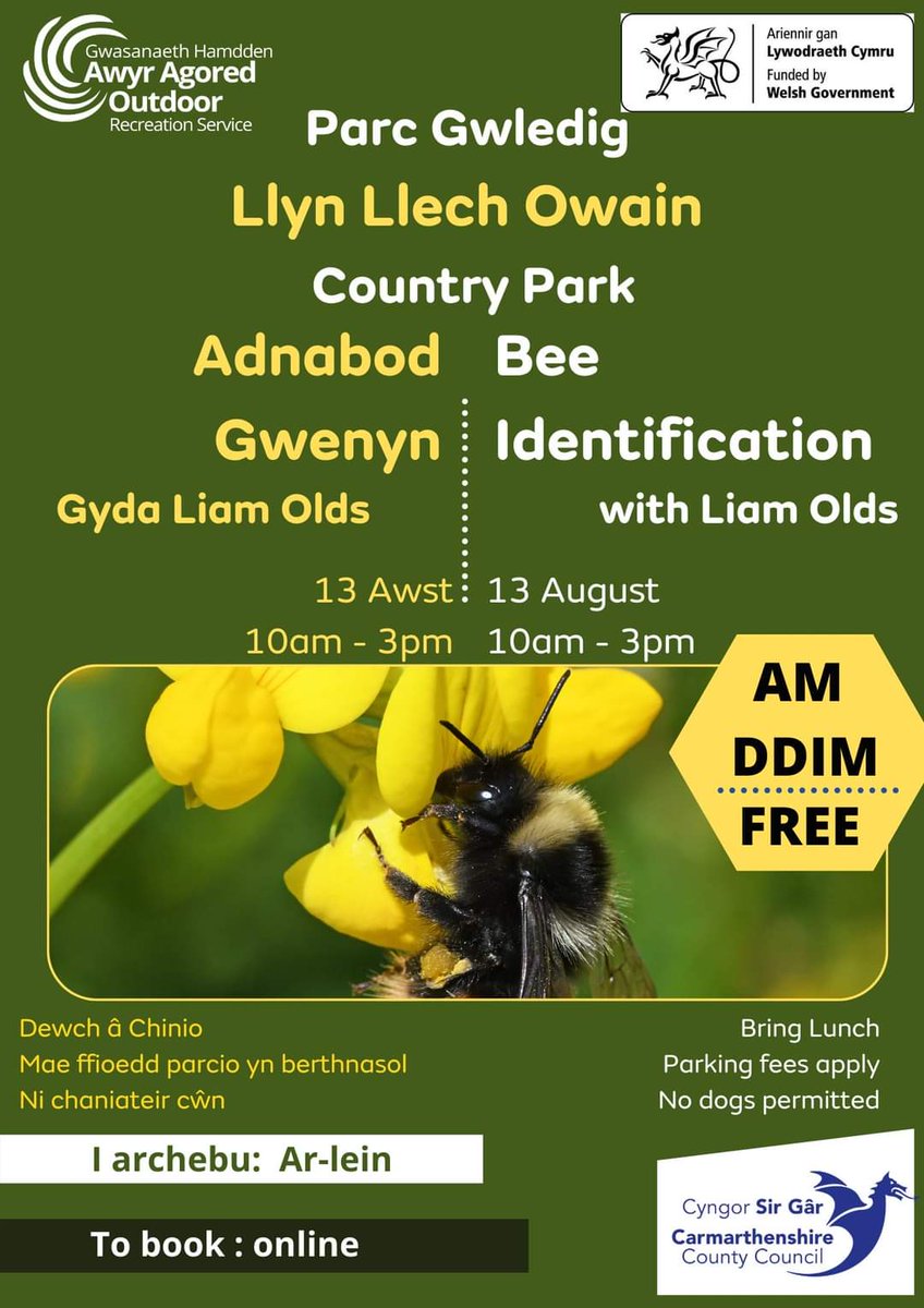 Would you like to improve your bee identification skills? Join <a href="/olds_liam/">Liam Olds</a> of <a href="/collieryspoil/">Colliery Spoil Biodiversity Initiative</a> for a bee-rilliant day of bee identification at Llyn Llech Owain Country Park on Saturday 13th August 2022, 10am - 3pm. To book a FREE space, visit ticketsource.co.uk/pembrey-countr…