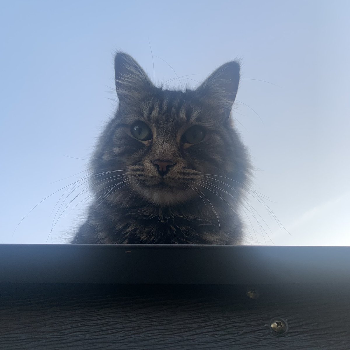 Fran Campbell | Podiatrist tweet media