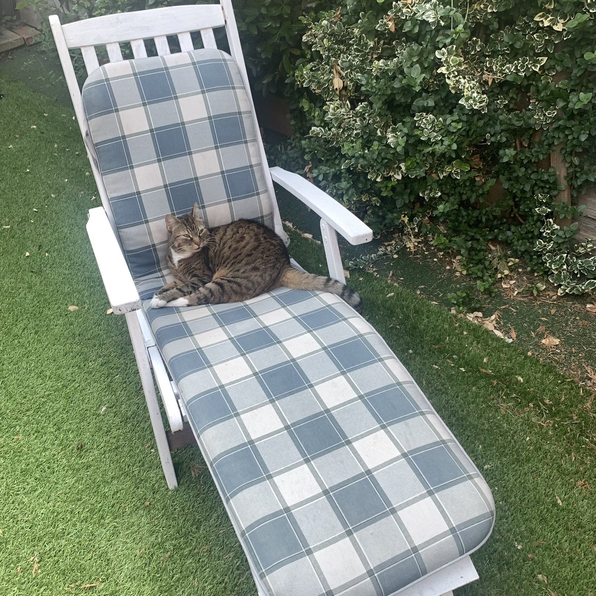 Fran Campbell | Podiatrist tweet media