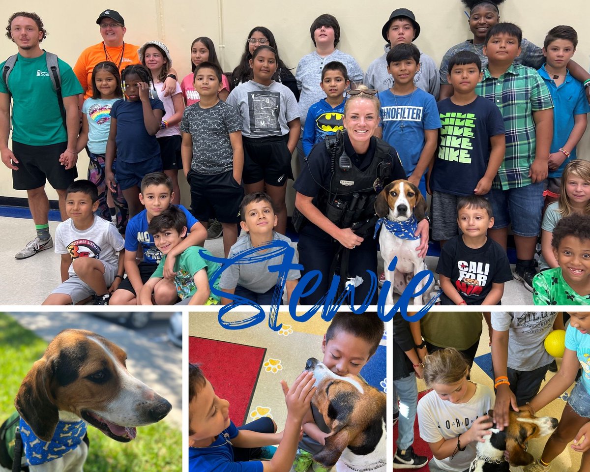 Wichita!!! Meet Stewie! The Wichita Police Department’s NEW Therapy Dog!!!! Please check out our Facebook and Instagram pages for more information!! #Stewie #TherapyDog
