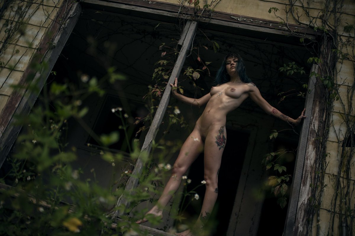 KlingDeidra's tweet photo. The Forrest holds answers we don’t even have the questions for yet.  #fineartphotography #deidrakling  model niss https://t.co/VYf5PjzxdI