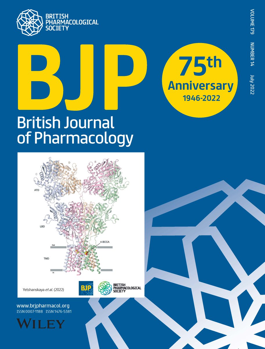 AlexanderSobol6's tweet image. Check out – our paper has been featured on the 75th Anniversary issue of British Journal of Pharmacology! Structural basis of AMPA receptor inhibition by trans -4-butylcyclohexane carboxylic acid. bpspubs.onlinelibrary.wiley.com/doi/10.1111/bp… 
@MariaKarela3 @AppuKSingh_IITK @MKCMU