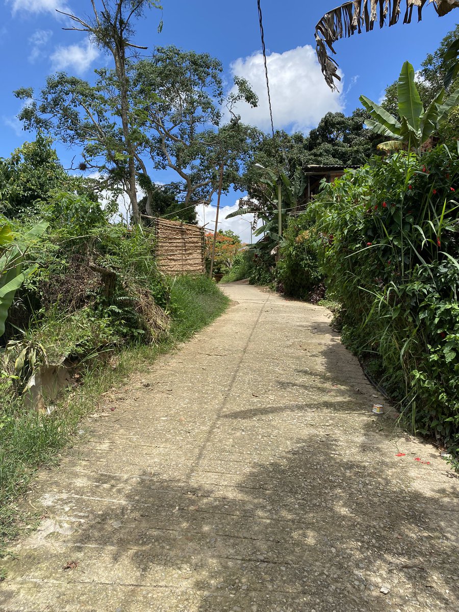 Fuimos a El Hatillo, a la comunidad de Corralito junto con el Concejo Comunal y Vecinos del Sector, recorrimos espacios, el verdor del paisaje y organización de las familias para seguir adelante, alumbrando caminos, llevando la Luz y entregamos Luminarias <a href="/HectoRodriguez/">Héctor Rodríguez C.</a>