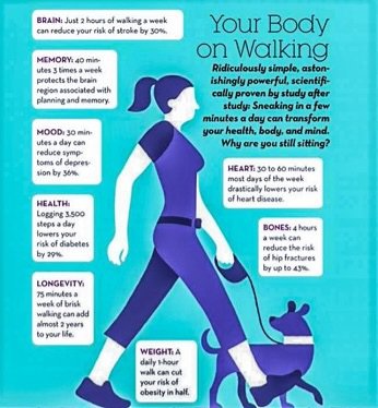 L-Evated tweet media