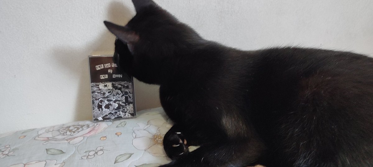 The physical tape of my Project with <a href="/yasminsenzii/">Yasmin Senzi</a> <a href="/AdventuresZel/">The Adventures of Rupi and Zel 🐱</a> finally came!

As grumpy as Zel is, he seems to love it, and im Sure that Rupi will Love it too, as soon as he come back from his adventure on the moon!
🖤🌕