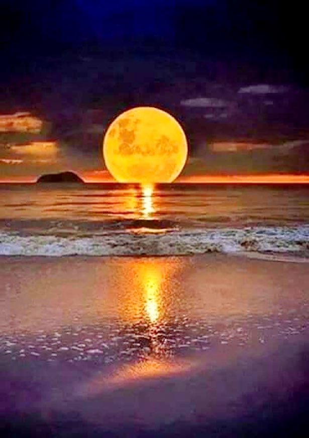 Amaz Pronos tweet media