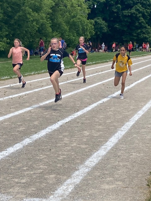 Hamlet Hornets tweet media