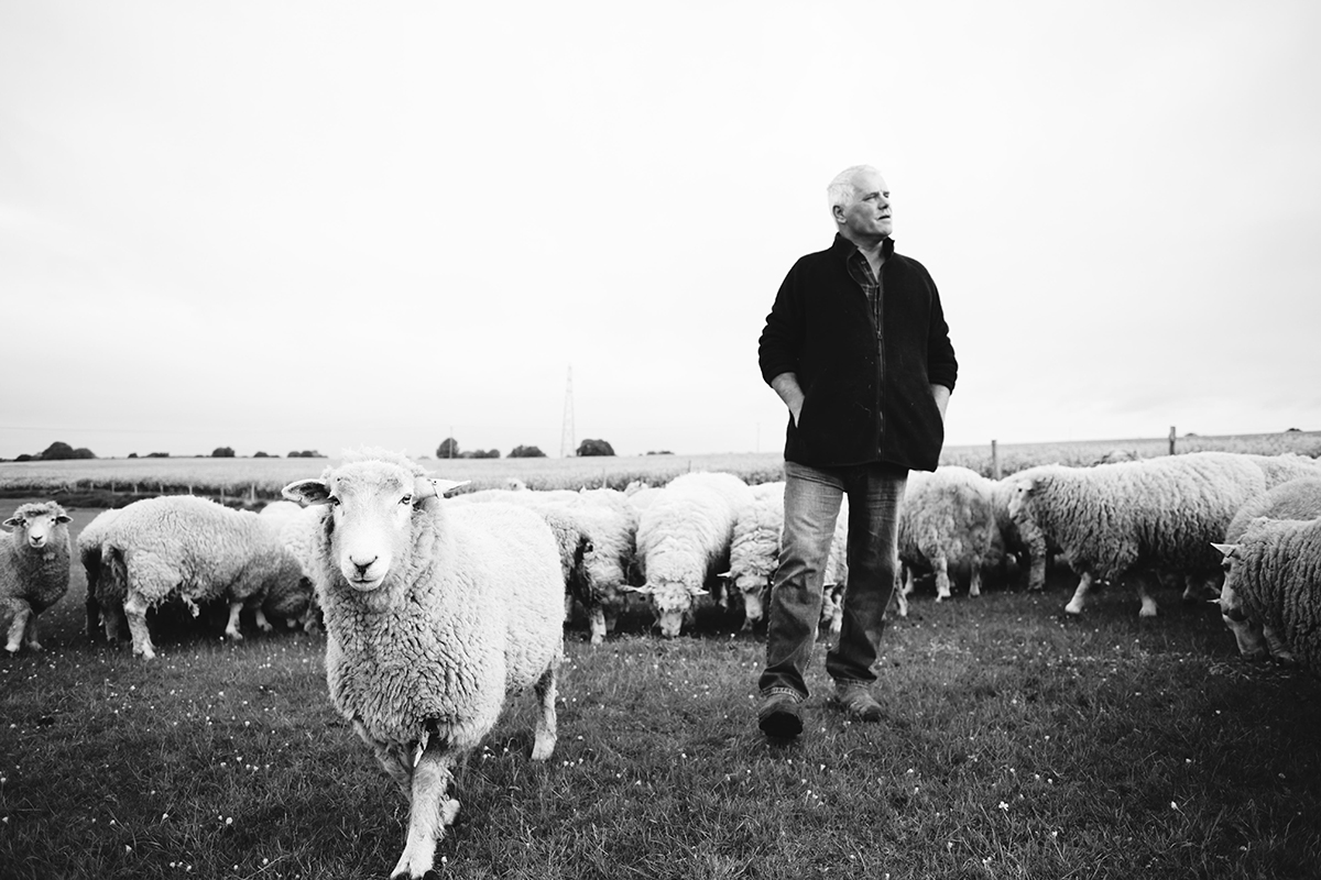 The Woolkeepers tweet media