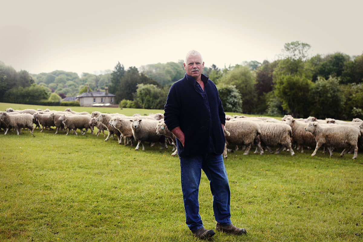 The Woolkeepers tweet media