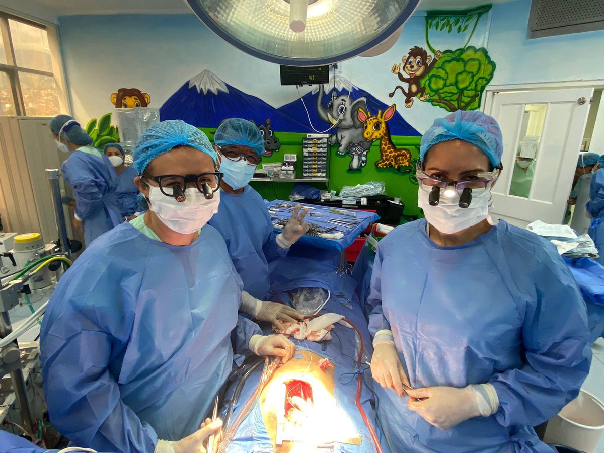 After 2 years of #COVID, the VAD program at #fcv in Colombia, was  reactivated, under the lead of Dr Sara Mendoza. First #Heartmate3 implanted in a pediatric pat. by a female surgeon in #LATAM. >70% of team were women!! @LATAM_LACES #WomeninLACES is proud of the achievement 💪🏻